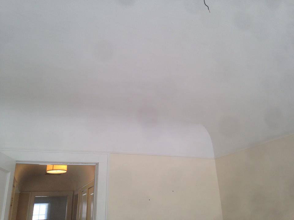 Plaster Ceiling Project After