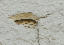 33066dad808ecce5b6e278cdc863ccd8