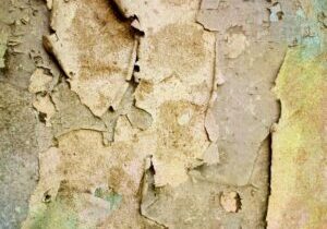 Screenshot 2026-03-02 164901 Screenshot 2026-03-02 164901