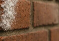 Screenshot 2026-03-31 083733